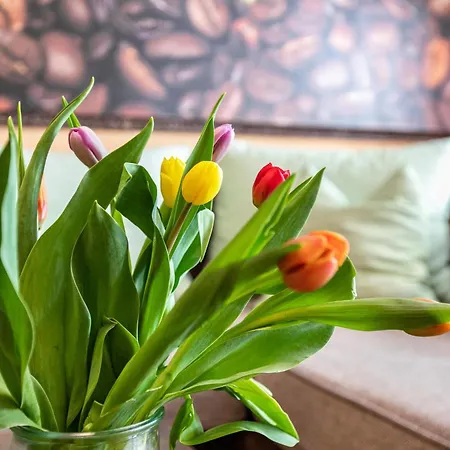 Ferienwohnung Kaffeetraum Apartment Flensburg